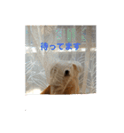 シバックスの心（個別スタンプ：20）