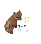 いろいろ、、（個別スタンプ：3）