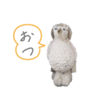 いろいろ、、（個別スタンプ：7）