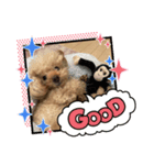 ほたちゃんスタンプ4th（個別スタンプ：1）