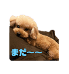 ほたちゃんスタンプ4th（個別スタンプ：4）