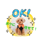 【シュシュ看板犬】MOKA（個別スタンプ：2）