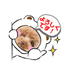 【シュシュ看板犬】MOKA（個別スタンプ：3）