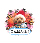 【シュシュ看板犬】MOKA（個別スタンプ：4）