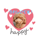 【シュシュ看板犬】MOKA（個別スタンプ：5）