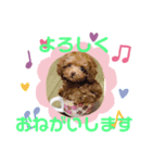 【シュシュ看板犬】MOKA（個別スタンプ：6）