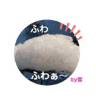 画像stamp 3（個別スタンプ：1）