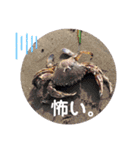 画像stamp 3（個別スタンプ：2）