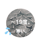 画像stamp 3（個別スタンプ：4）
