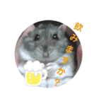画像stamp 3（個別スタンプ：5）