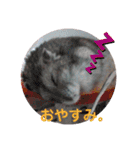 画像stamp 3（個別スタンプ：6）