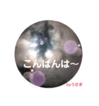画像stamp 3（個別スタンプ：8）