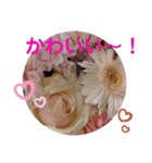 画像stamp 3（個別スタンプ：10）