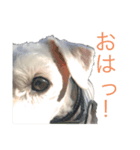 白シュナの日常part3（個別スタンプ：2）