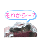 キジトラの殿様5（個別スタンプ：9）