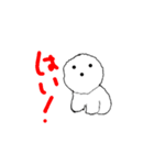 ビション素敵スタンプ（個別スタンプ：6）