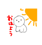 ビション素敵スタンプ（個別スタンプ：7）