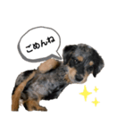 Hijikikun スタンプ（個別スタンプ：2）