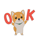 柴犬コロ！（個別スタンプ：1）