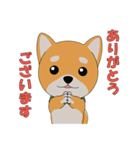 柴犬コロ！（個別スタンプ：2）