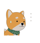 柴犬コロ！（個別スタンプ：3）