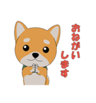 柴犬コロ！（個別スタンプ：5）
