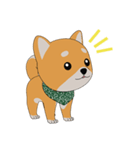 柴犬コロ！（個別スタンプ：6）