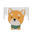 柴犬コロ！（個別スタンプ：7）