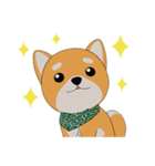 柴犬コロ！（個別スタンプ：8）