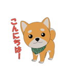 柴犬コロ！（個別スタンプ：9）