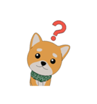 柴犬コロ！（個別スタンプ：12）