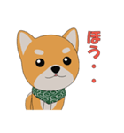 柴犬コロ！（個別スタンプ：14）