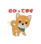 柴犬コロ！（個別スタンプ：15）