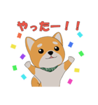 柴犬コロ！（個別スタンプ：16）