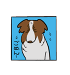 犬 is dog（個別スタンプ：2）