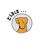 犬 is dog（個別スタンプ：20）