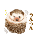 毎日使える動物たちのスタンプ 2（個別スタンプ：7）