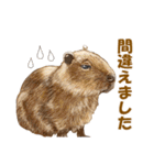 毎日使える動物たちのスタンプ 2（個別スタンプ：20）