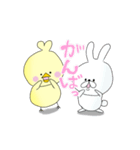 きんちゃくトリ3（個別スタンプ：3）