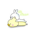 きんちゃくトリ3（個別スタンプ：5）
