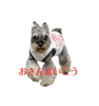 こむぎさんちのなかまたち（個別スタンプ：25）