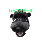 こむぎさんちのなかまたち（個別スタンプ：26）