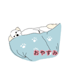 ちゃちゃくん(マルプー)（個別スタンプ：2）