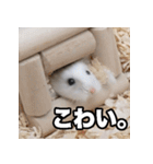 「絹毛のハム」スタンプ（個別スタンプ：23）