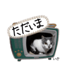 Dep 里親様スタンプ 猫ver ①（個別スタンプ：18）