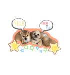 ChaCha＆Reo（個別スタンプ：4）
