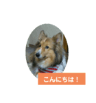 翔太くん！ワン！（個別スタンプ：3）