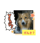 翔太くん！ワン！（個別スタンプ：7）