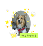 翔太くん！ワン！（個別スタンプ：8）