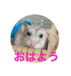 ぐぅちゃん・わぐちゃんスタンプ（個別スタンプ：5）